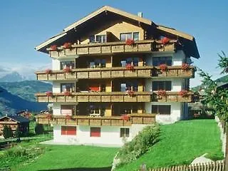 公寓 Matterhorn Valley Appartement Hotel Des Alpes 格雷兴