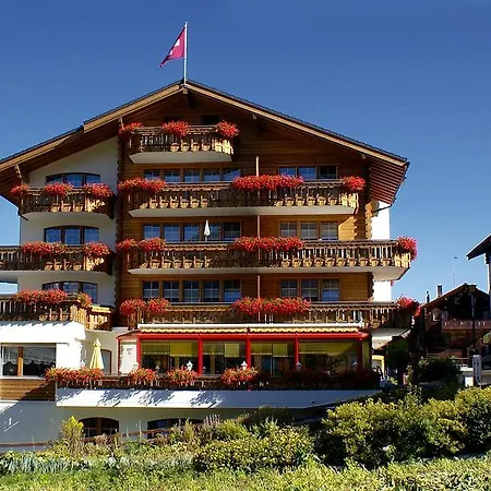 Matterhorn Valley Appartement Hotel Des Alpes * Grächen